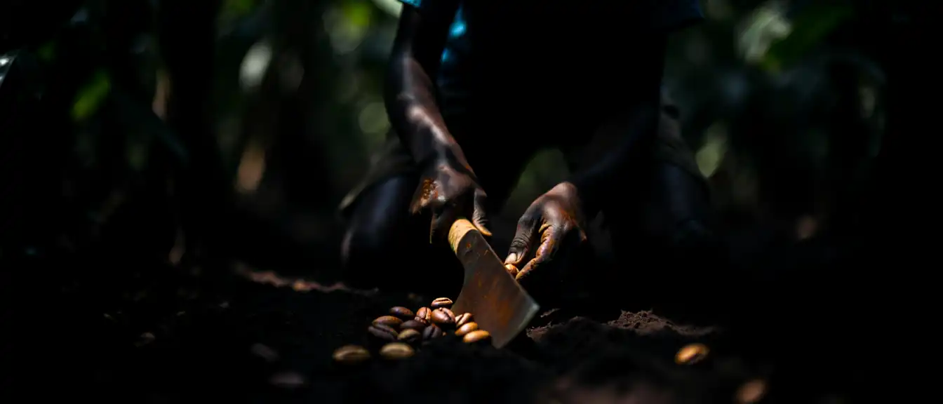 Тень на шоколаде: американское подразделение Lindt может ответить в суде за эксплуатацию детей