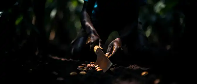 Тень на шоколаде: американское подразделение Lindt может ответить в суде за эксплуатацию детей